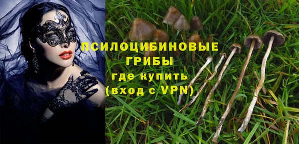 мескалин Дмитриев